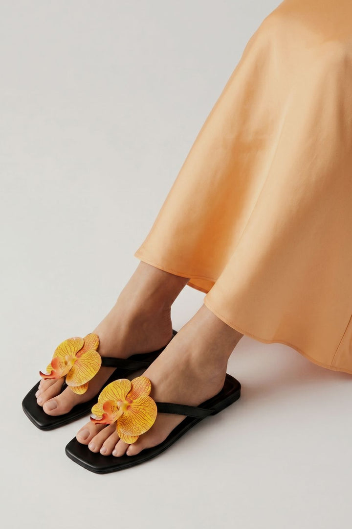 OPIA NOBELLE SLIDES