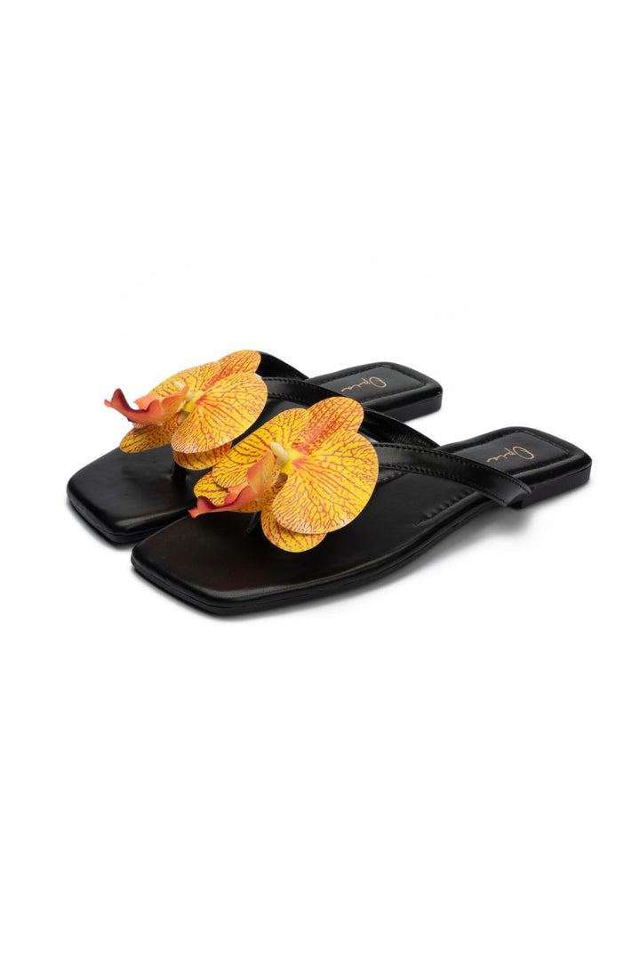 OPIA NOBELLE SLIDES
