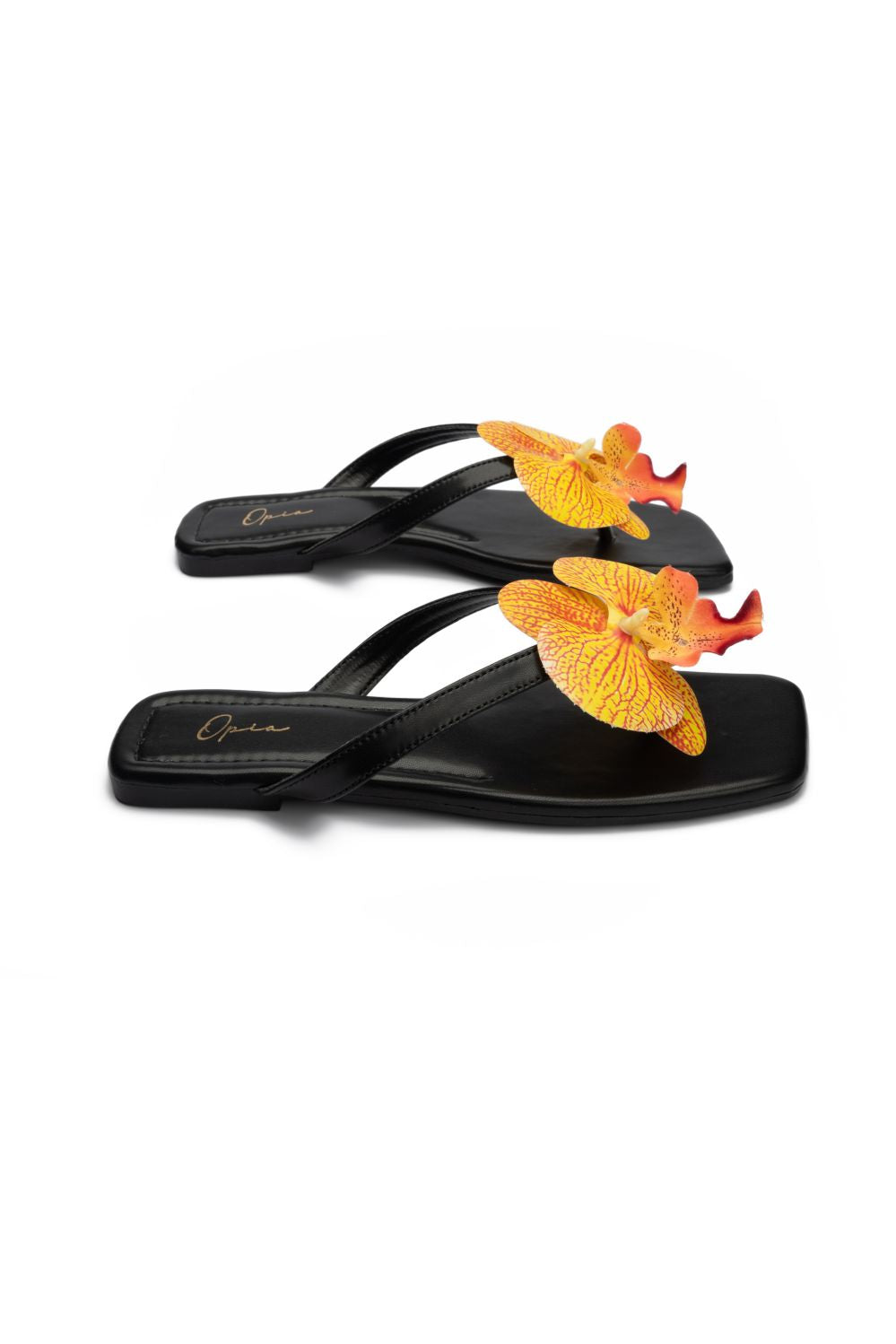 OPIA NOBELLE SLIDES