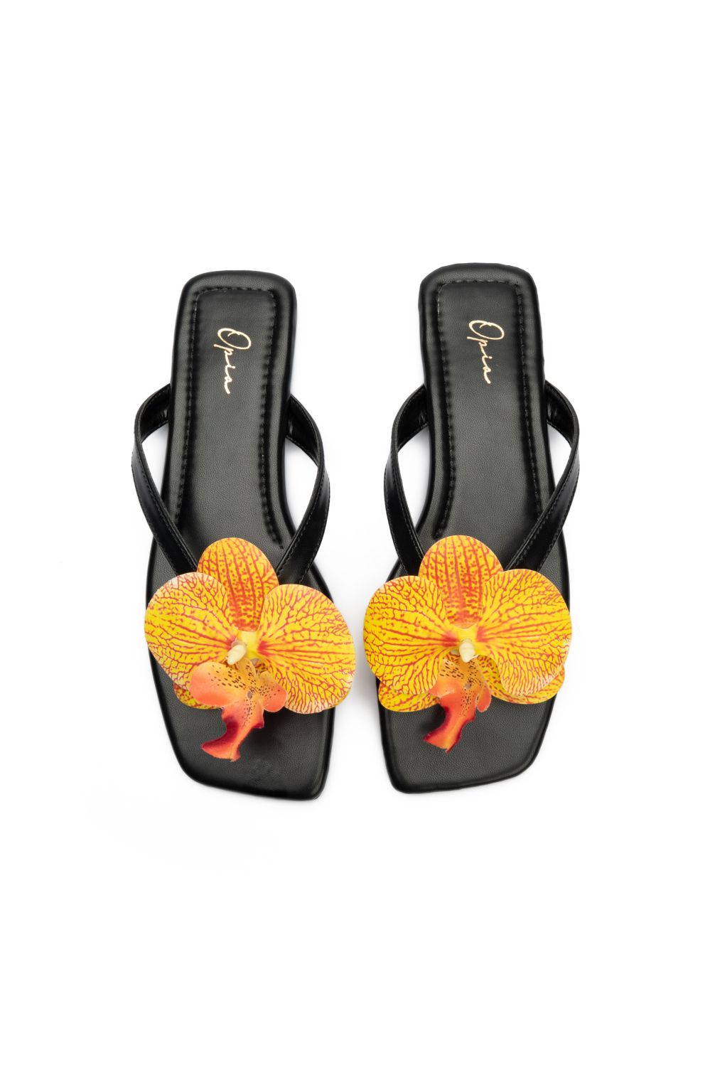 OPIA NOBELLE SLIDES