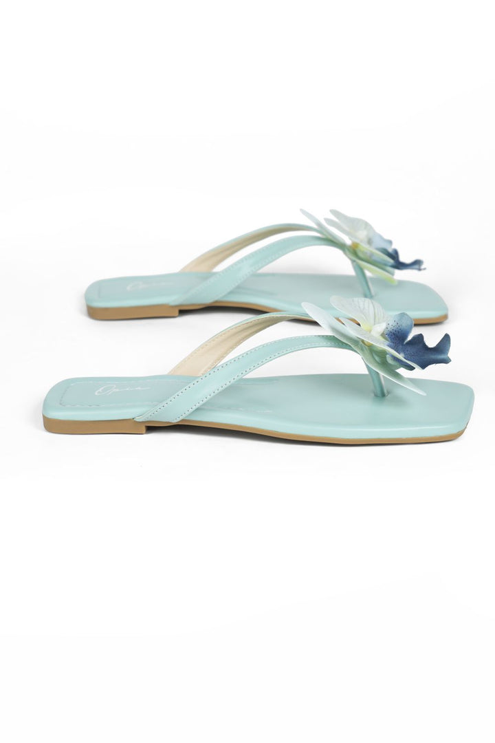 OPIA NOBELLE SLIDES