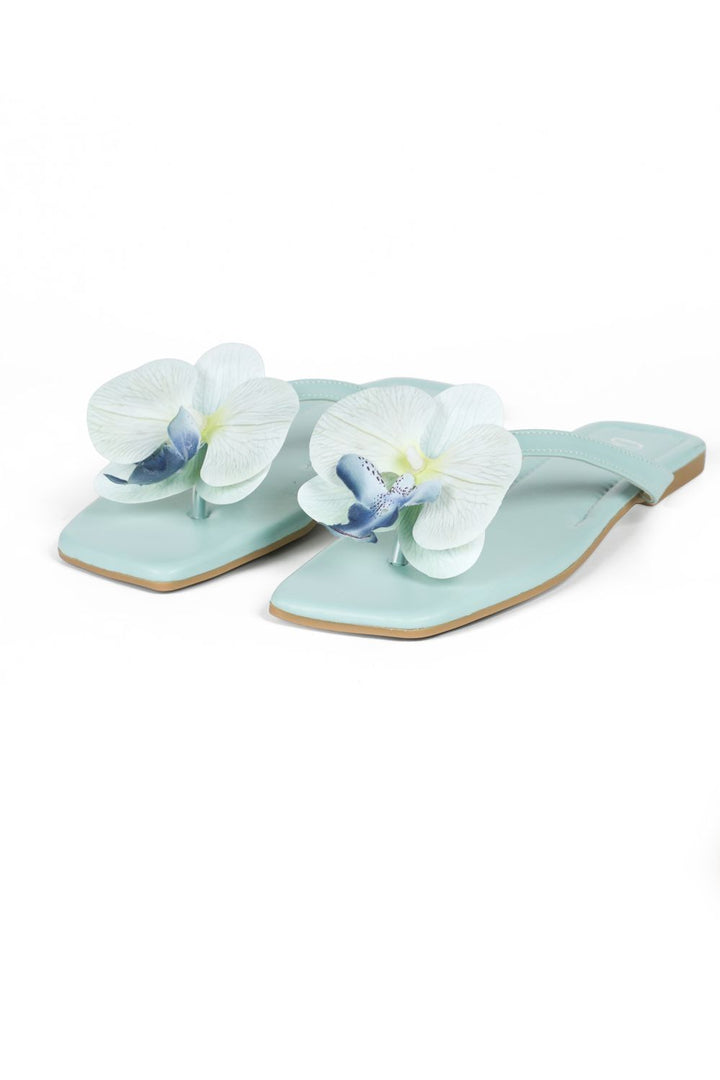 OPIA NOBELLE SLIDES
