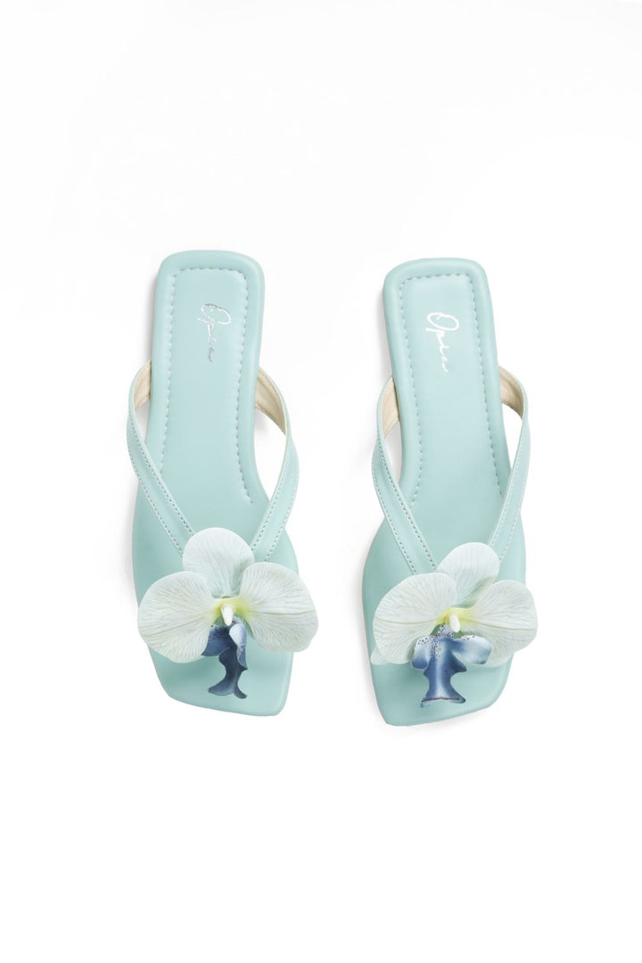 OPIA NOBELLE SLIDES