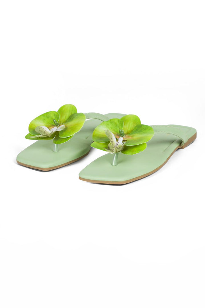 OPIA NOBELLE SLIDES