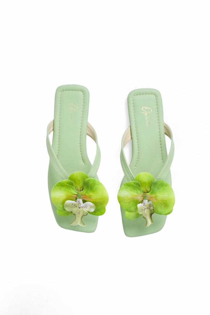 OPIA NOBELLE SLIDES