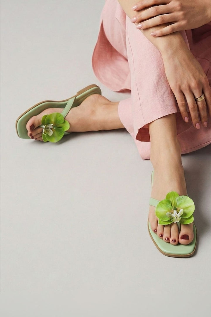 OPIA NOBELLE SLIDES
