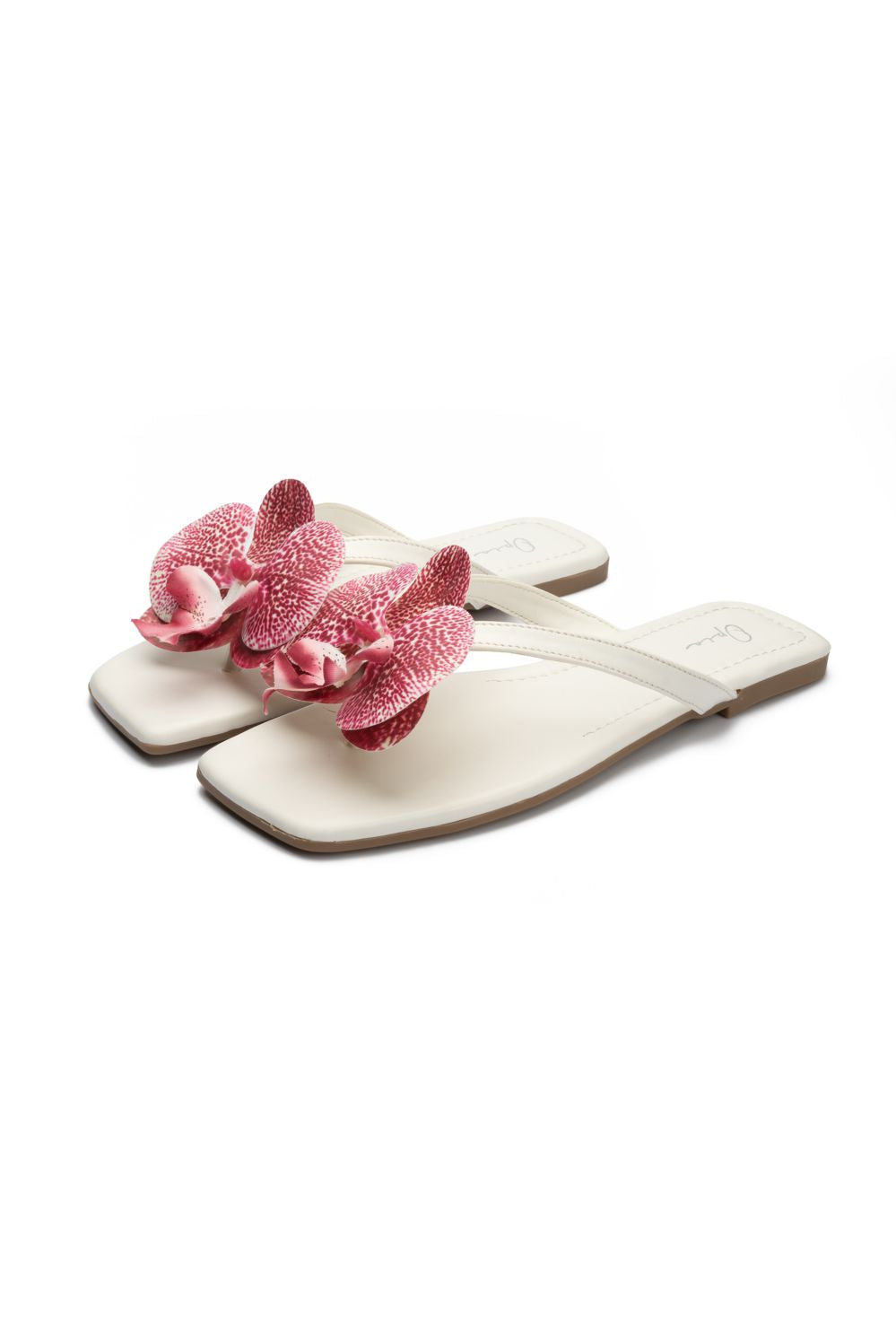 OPIA NOBELLE SLIDES