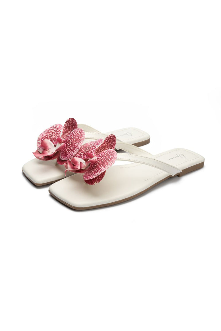 OPIA NOBELLE SLIDES