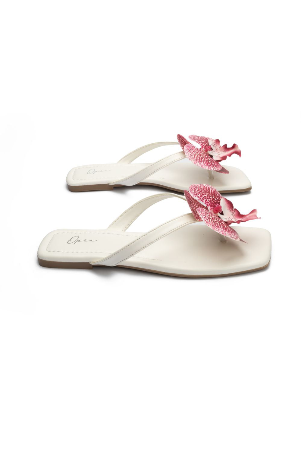 OPIA NOBELLE SLIDES