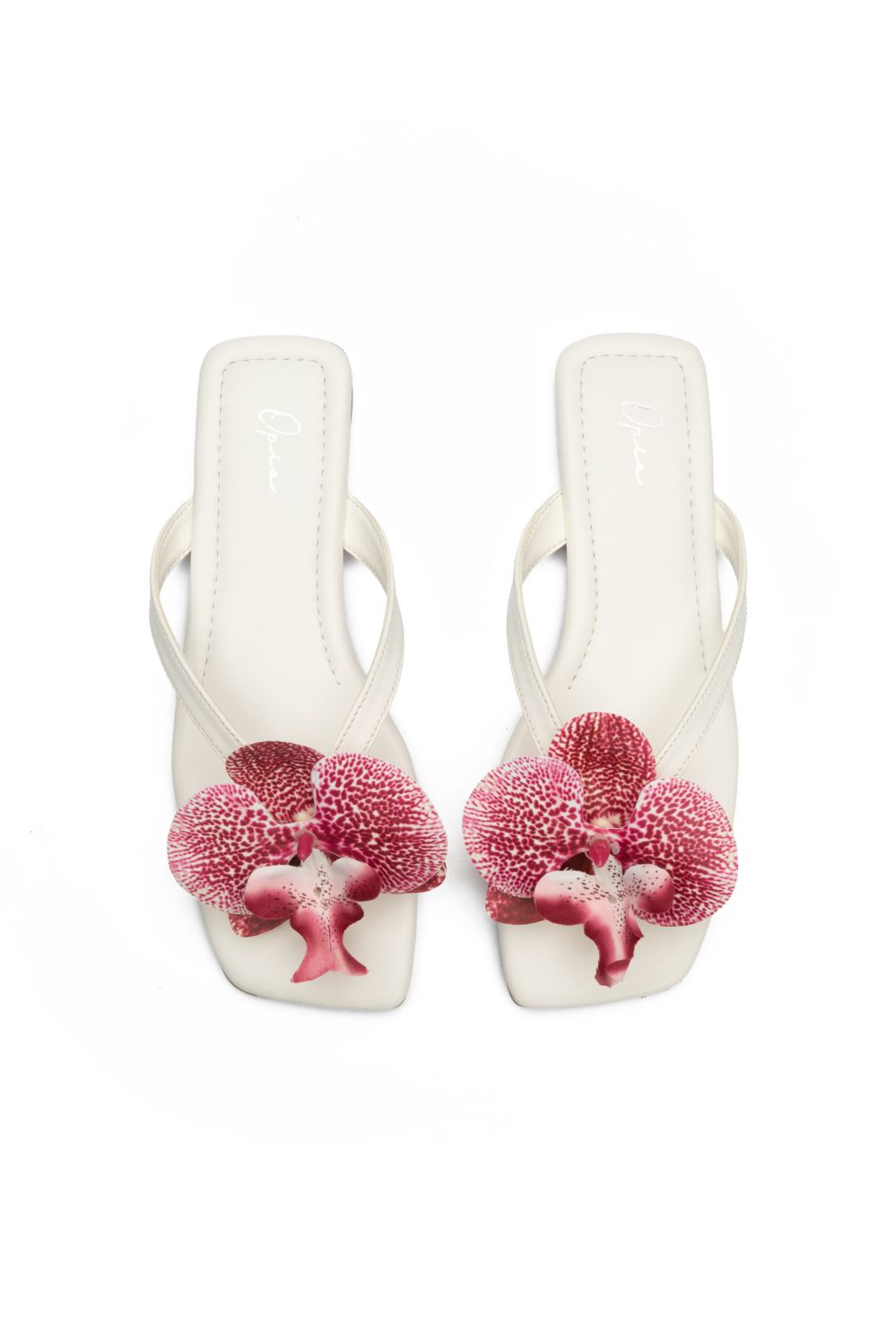 OPIA NOBELLE SLIDES