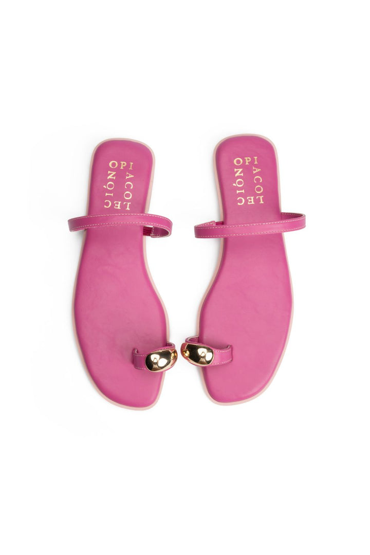 OPIA CELESTIA SLIDES