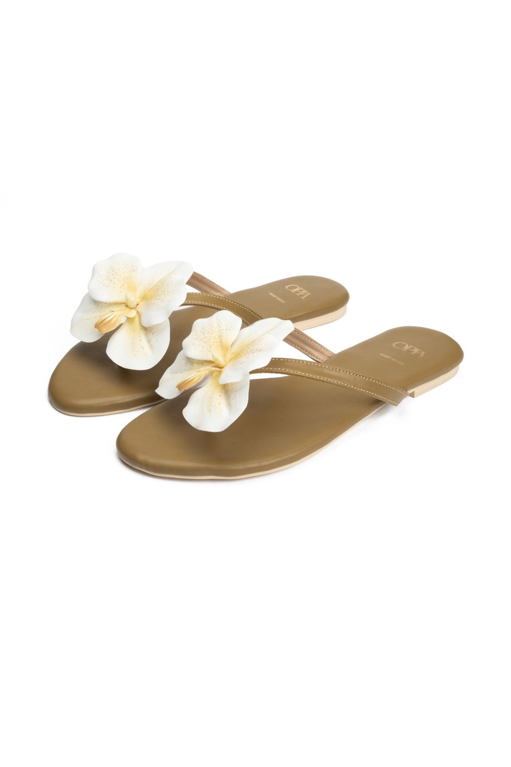 OPIA STYLEZIA SLIDES
