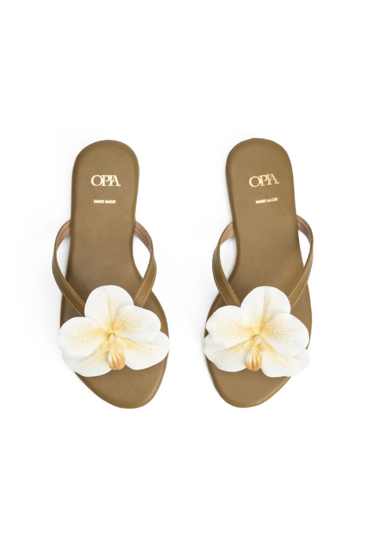 OPIA STYLEZIA SLIDES