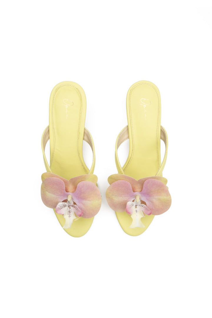 OPIA FREESIA SLIDES