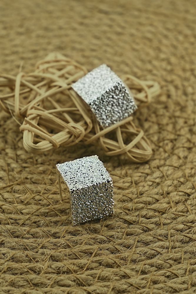 EAR RINGS JW1168 SLV - OPIA